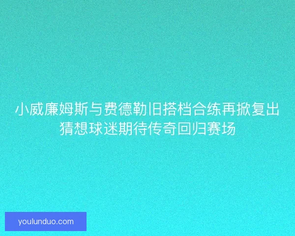 小威廉姆斯与费德勒旧搭档合练再掀复出猜想球迷期待传奇回归赛场