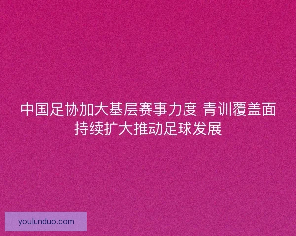 中国足协加大基层赛事力度 青训覆盖面持续扩大推动足球发展