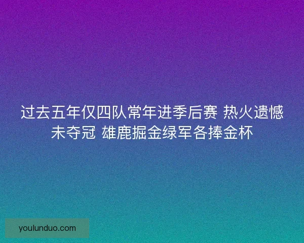 过去五年仅四队常年进季后赛 热火遗憾未夺冠 雄鹿掘金绿军各捧金杯